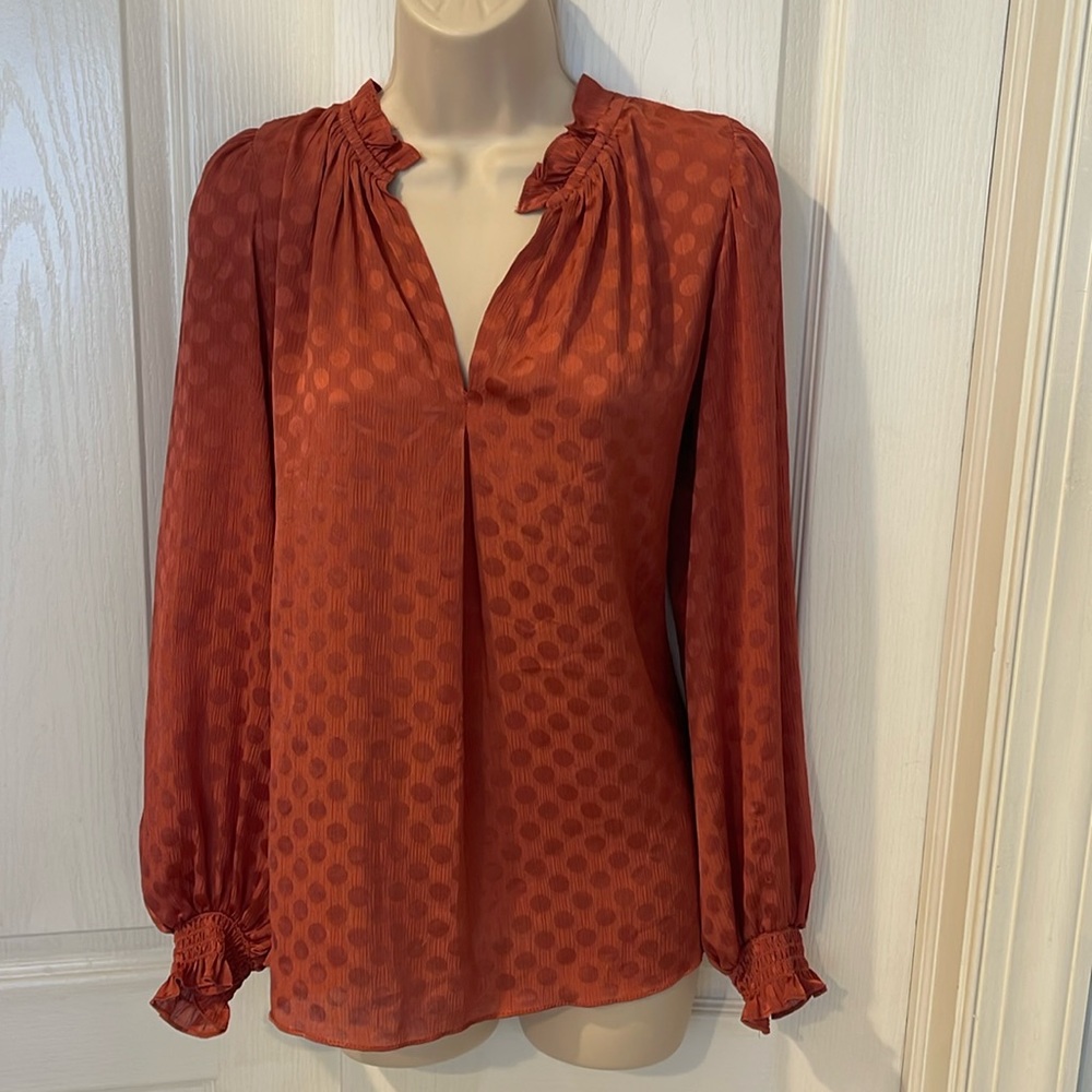 Max Studio rust blouse- small